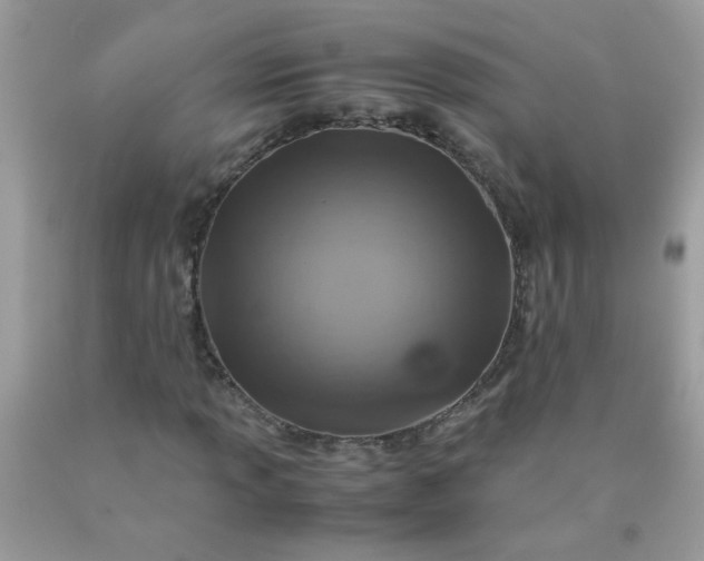 X0000090491013200707272336
