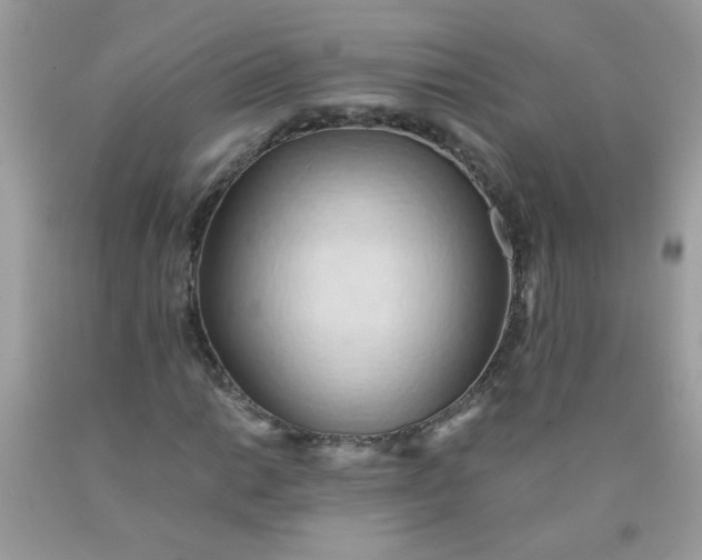 X0000090491014200707272336