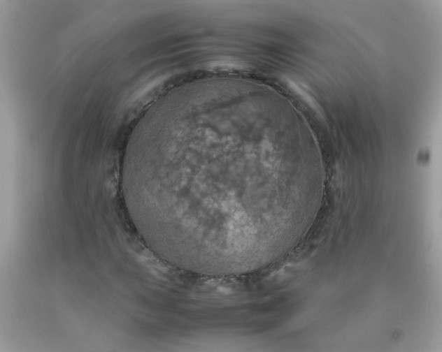 X0000090491015200707272336