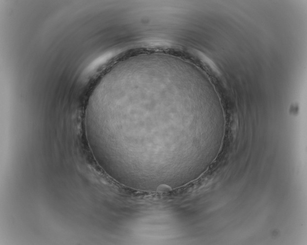 X0000090491016200707272336