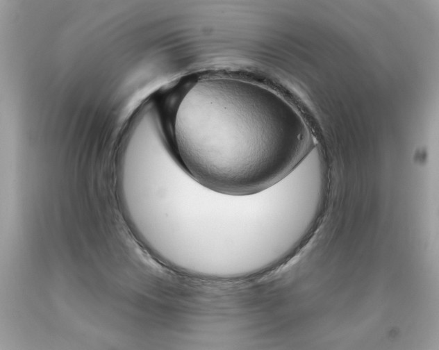 X0000090491018200707272336