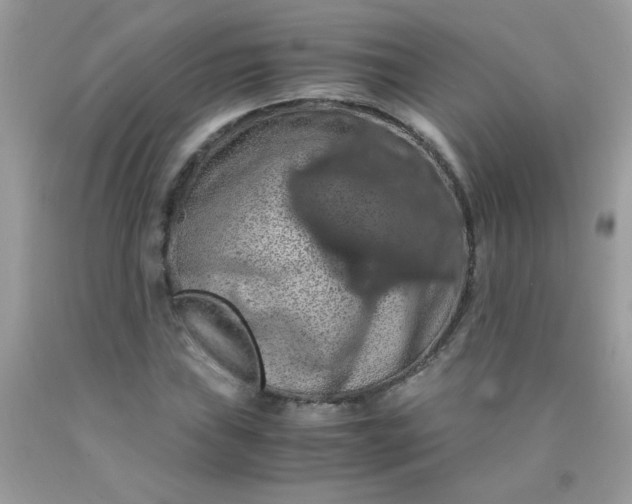 X0000090491019200707272336