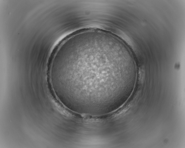 X0000090491020200707272336