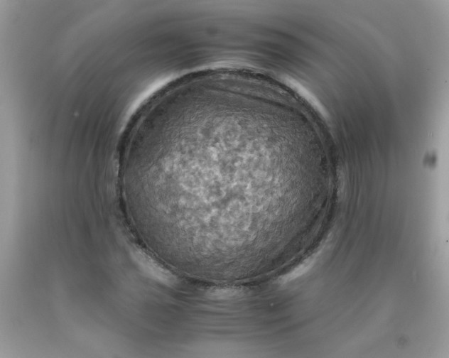 X0000090491021200707272336