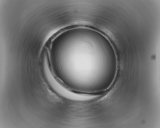 X0000090491022200707272336