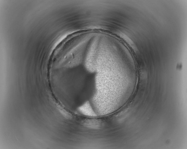 X0000090491023200707272336