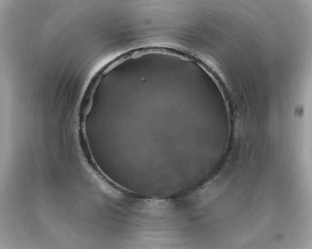 X0000090491024200707272336