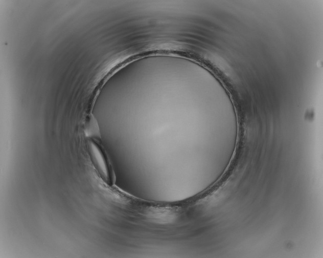 X0000090491025200707272336