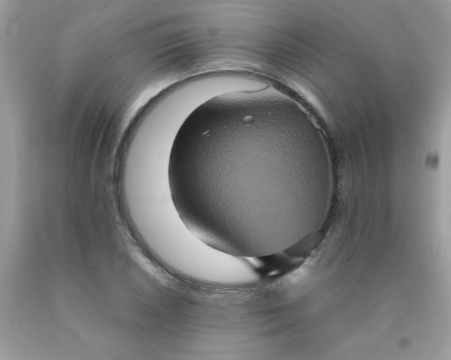 X0000090491026200707272336
