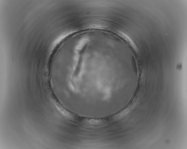 X0000090491027200707272336