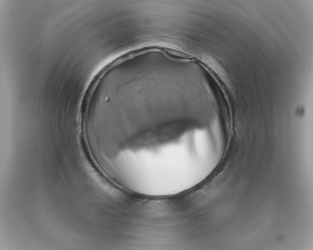 X0000090491028200707272336