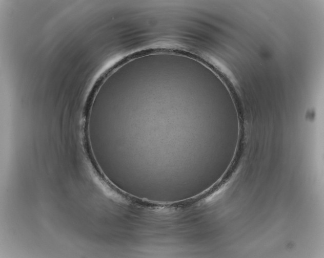 X0000090491029200707272336