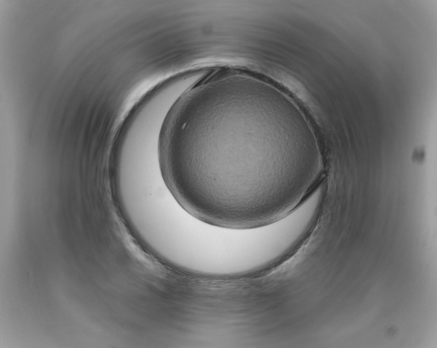 X0000090491030200707272336