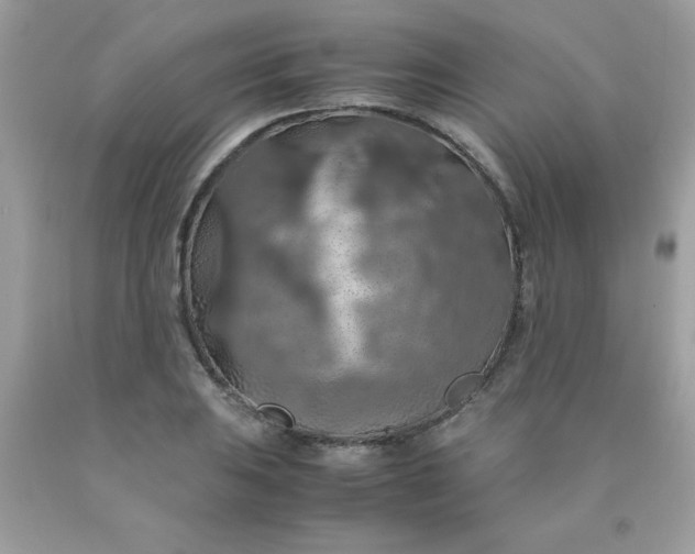 X0000090491031200707272336