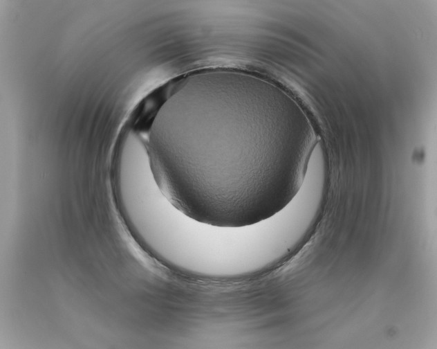 X0000090491034200707272336