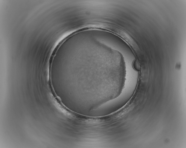 X0000090491036200707272336