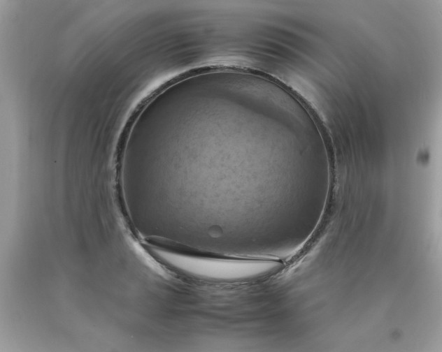 X0000090491037200707272336