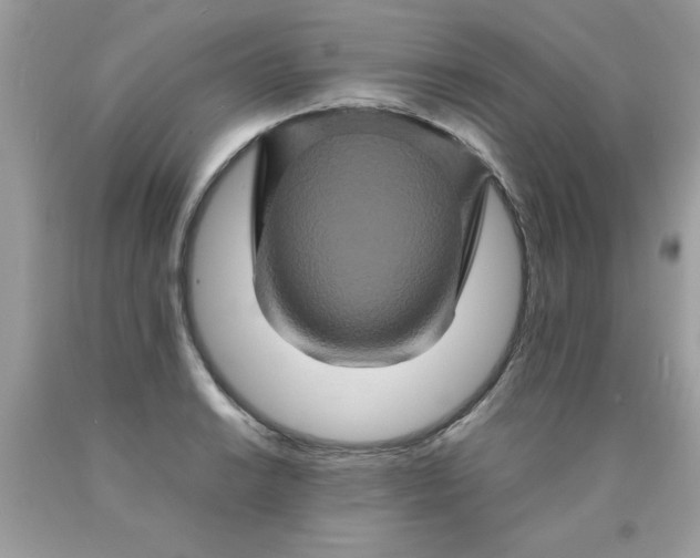 X0000090491038200707272336