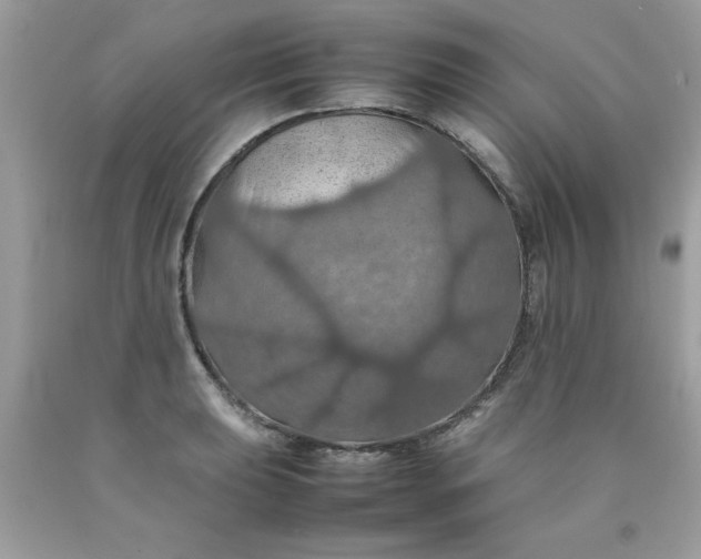 X0000090491039200707272336