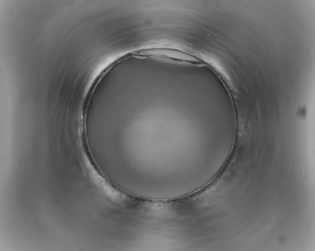 X0000090491040200707272336