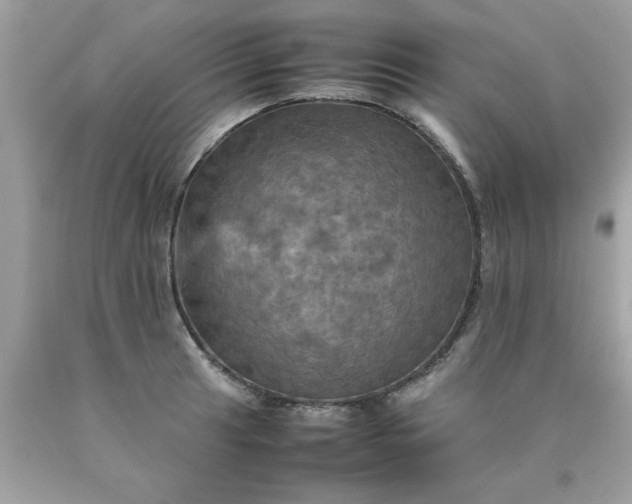 X0000090491041200707272336