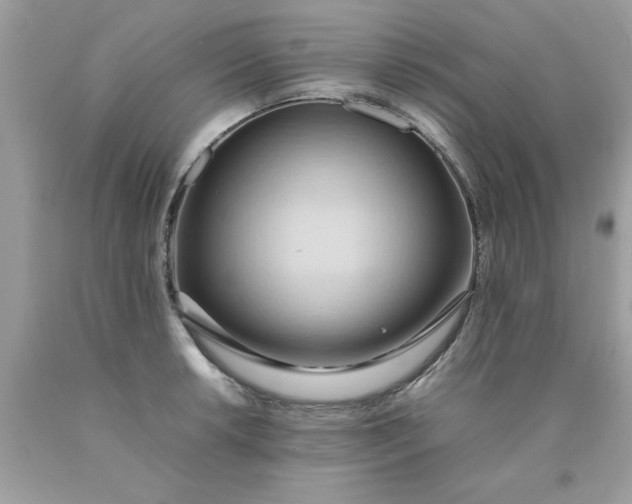 X0000090491042200707272336