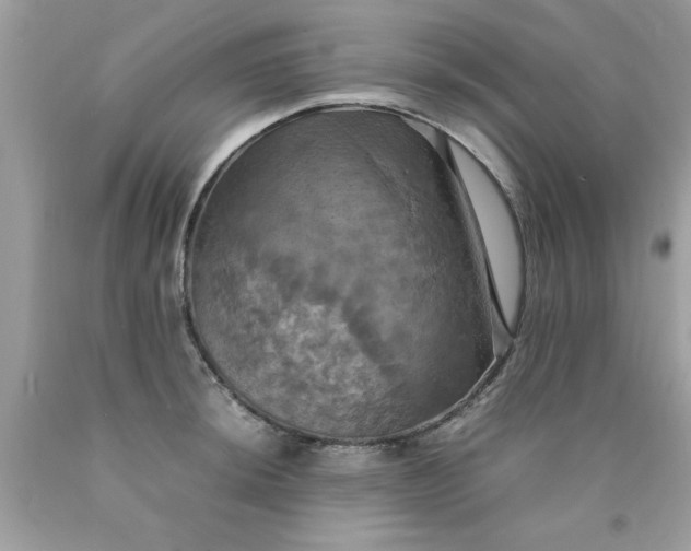 X0000090491044200707272336