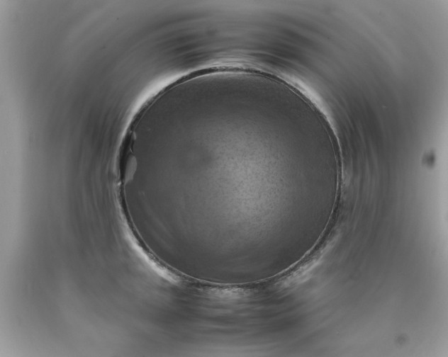 X0000090491045200707272336