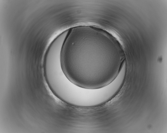 X0000090491046200707272336