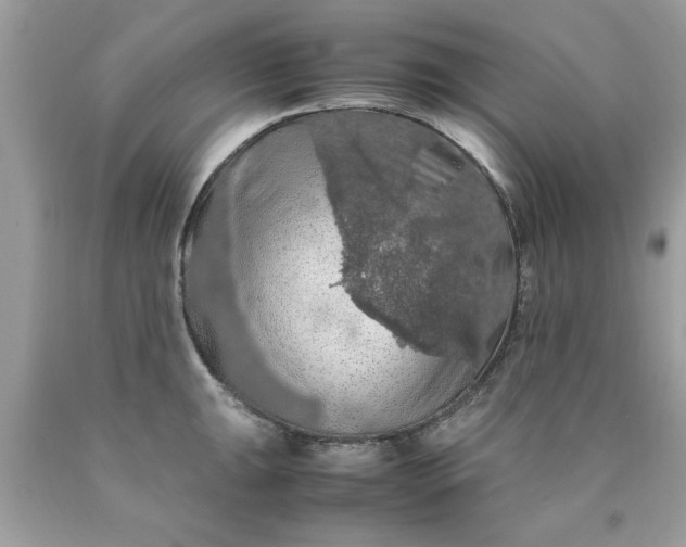 X0000090491047200707272336