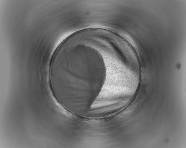 X0000090491048200707272336