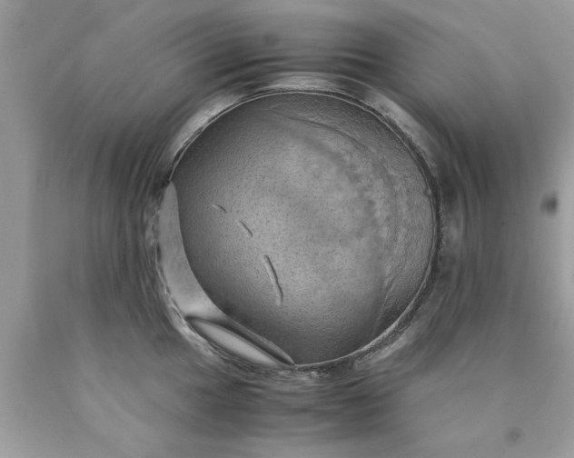 X0000090491049200707272336