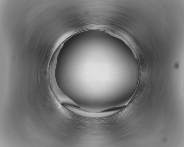 X0000090491050200707272336