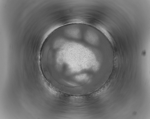 X0000090491051200707272336