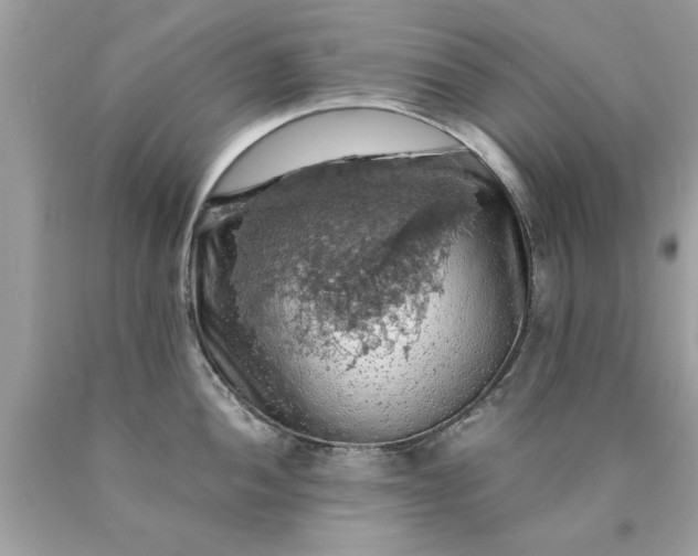 X0000090491052200707272336