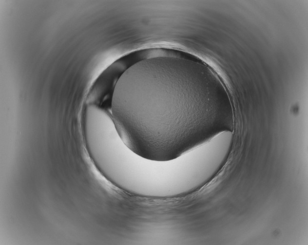 X0000090491054200707272336