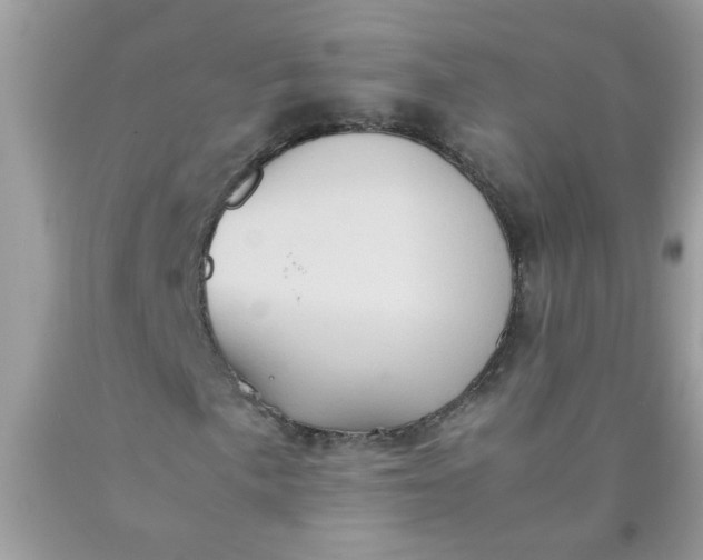 X0000090491057200707272336