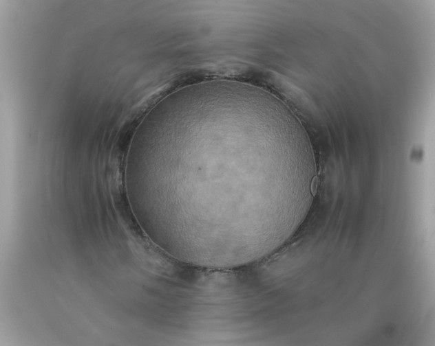 X0000090491058200707272336