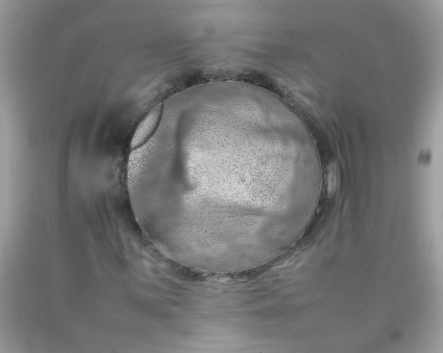 X0000090491059200707272336