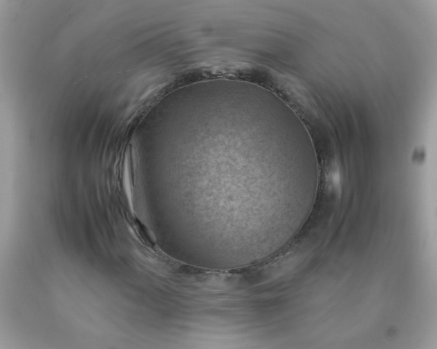 X0000090491060200707272336