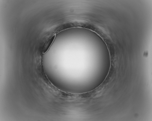 X0000090491061200707272336