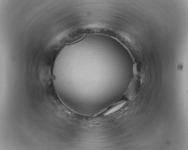 X0000090491062200707272336