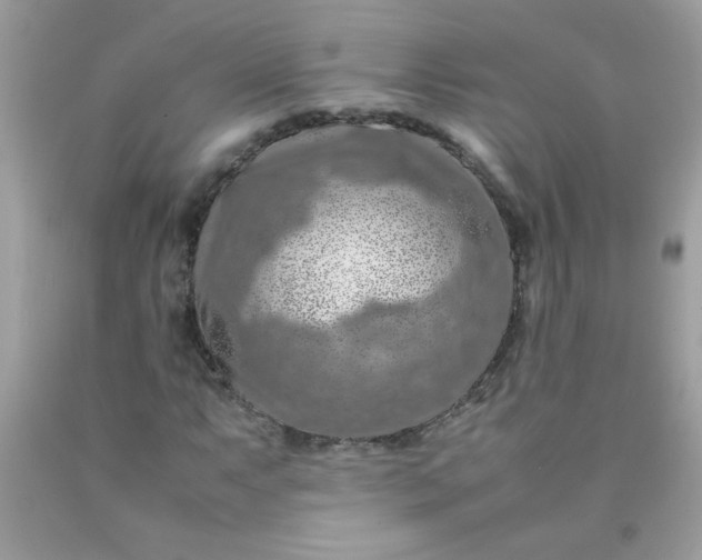 X0000090491063200707272336