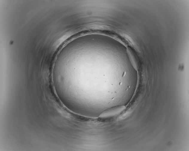 X0000090491065200707272336