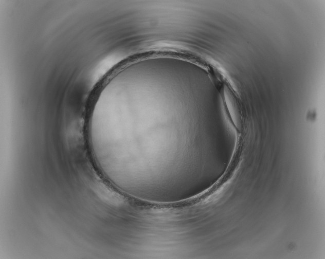 X0000090491066200707272336