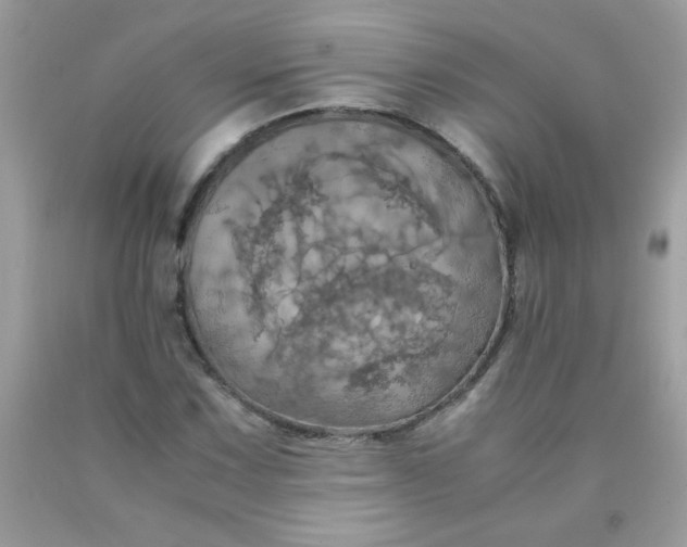 X0000090491067200707272336