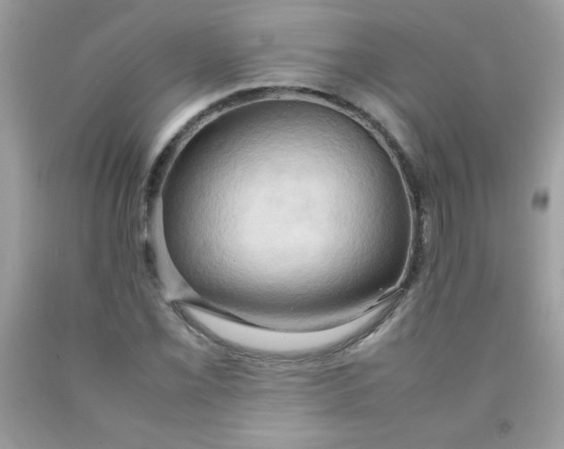 X0000090491069200707272336