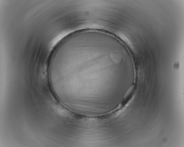 X0000090491070200707272335