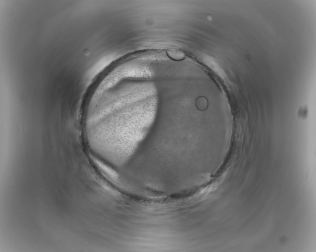 X0000090491071200707272335