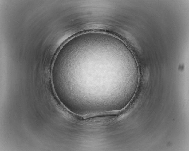 X0000090491073200707272335